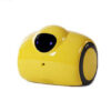 Smart Family Robot